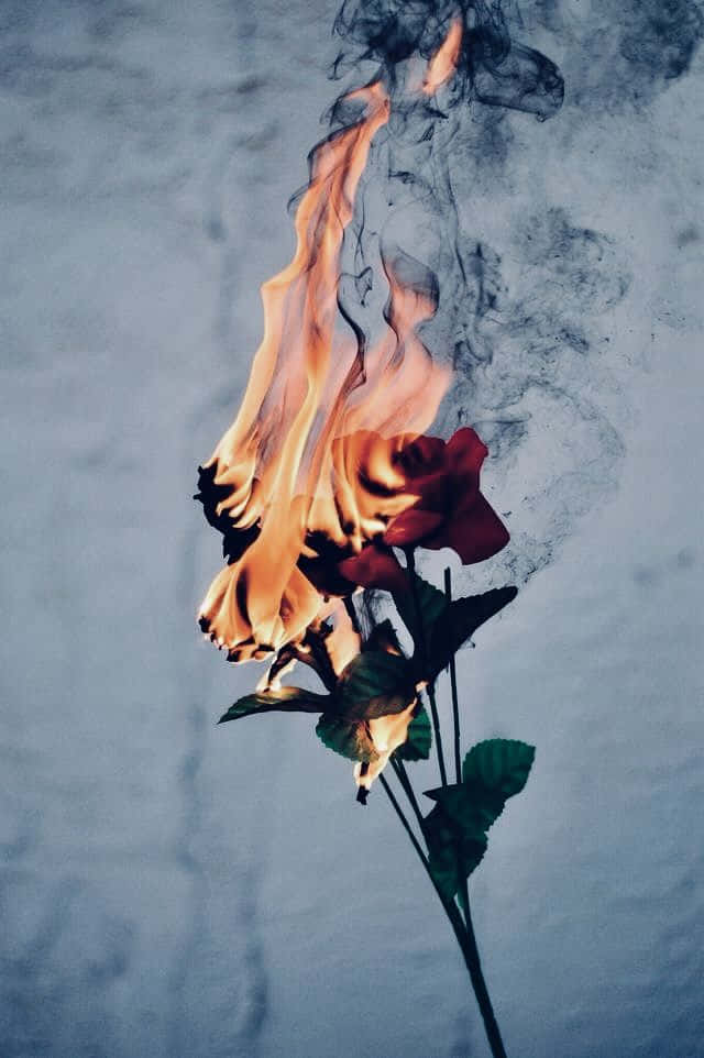 "Beautiful and Aesthetic Fire" Wallpaper