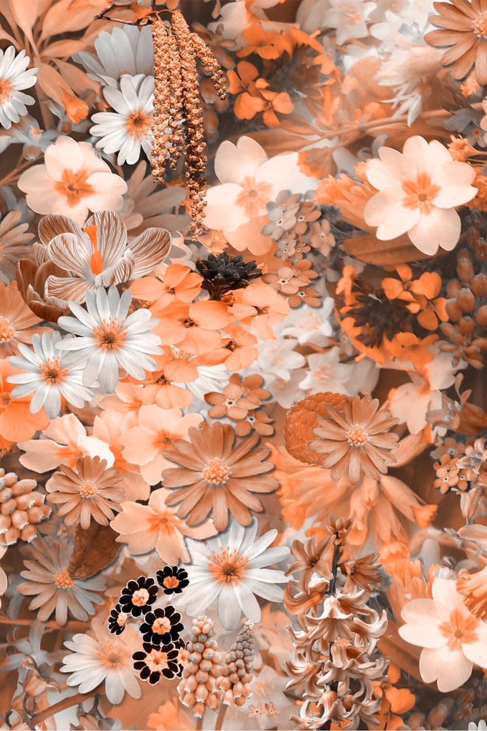 A White And Orange Flower Pattern Wallpaper