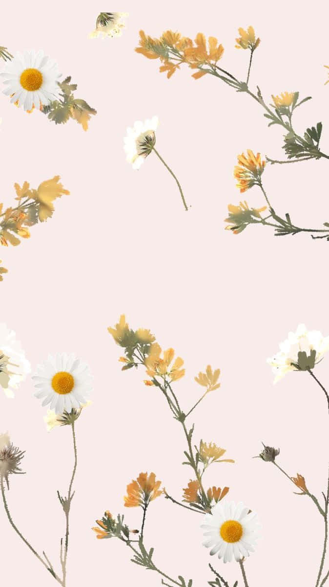Nyd skønheden af æstetisk blomstrende Wallpaper