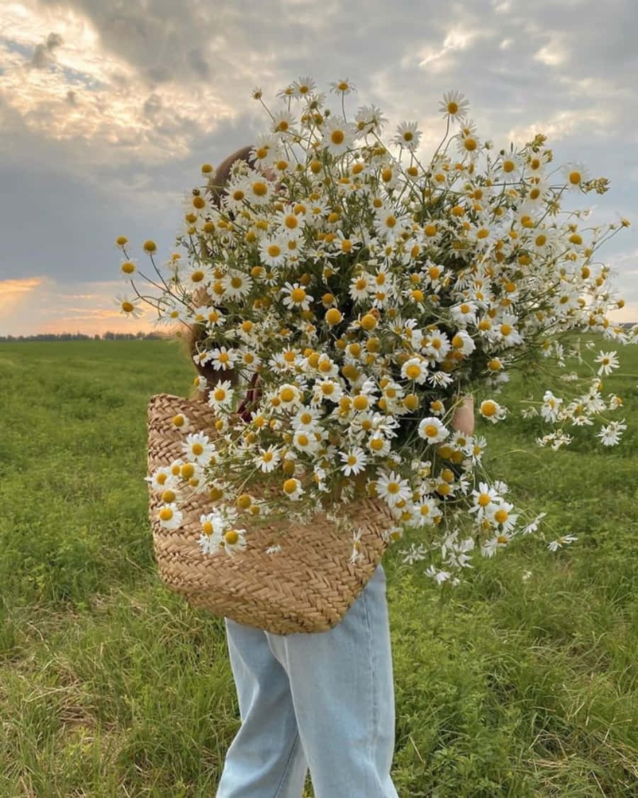 A Woman Carrying A Basket Full Of Daisies