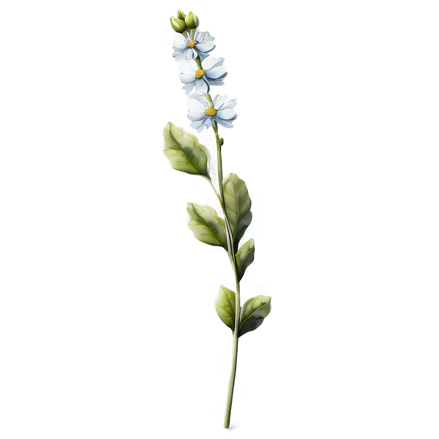 Aesthetic Flower Stem Png 37 PNG