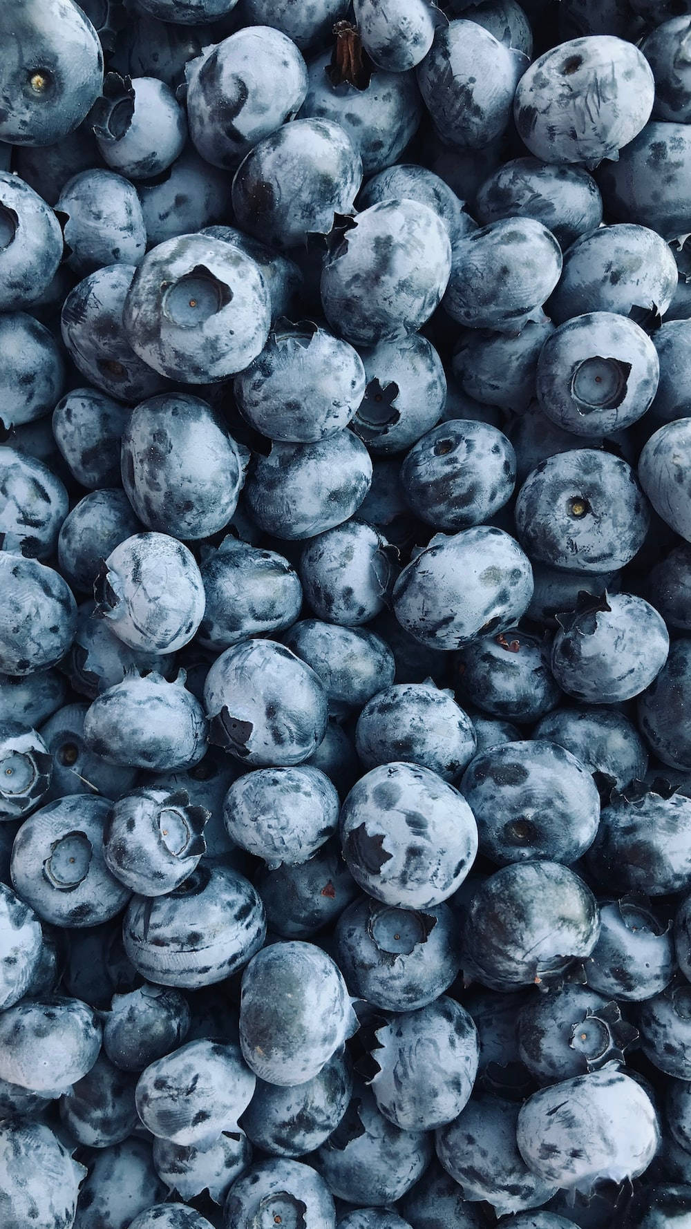 "Fresh Bountiful Blueberries" Wallpaper