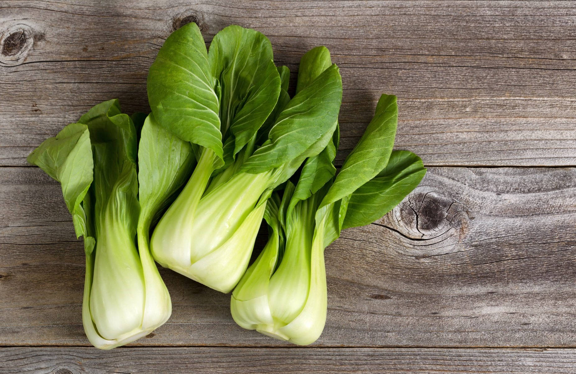 Aesthetic Fresh Bok Choy Cabbages Wallpaper