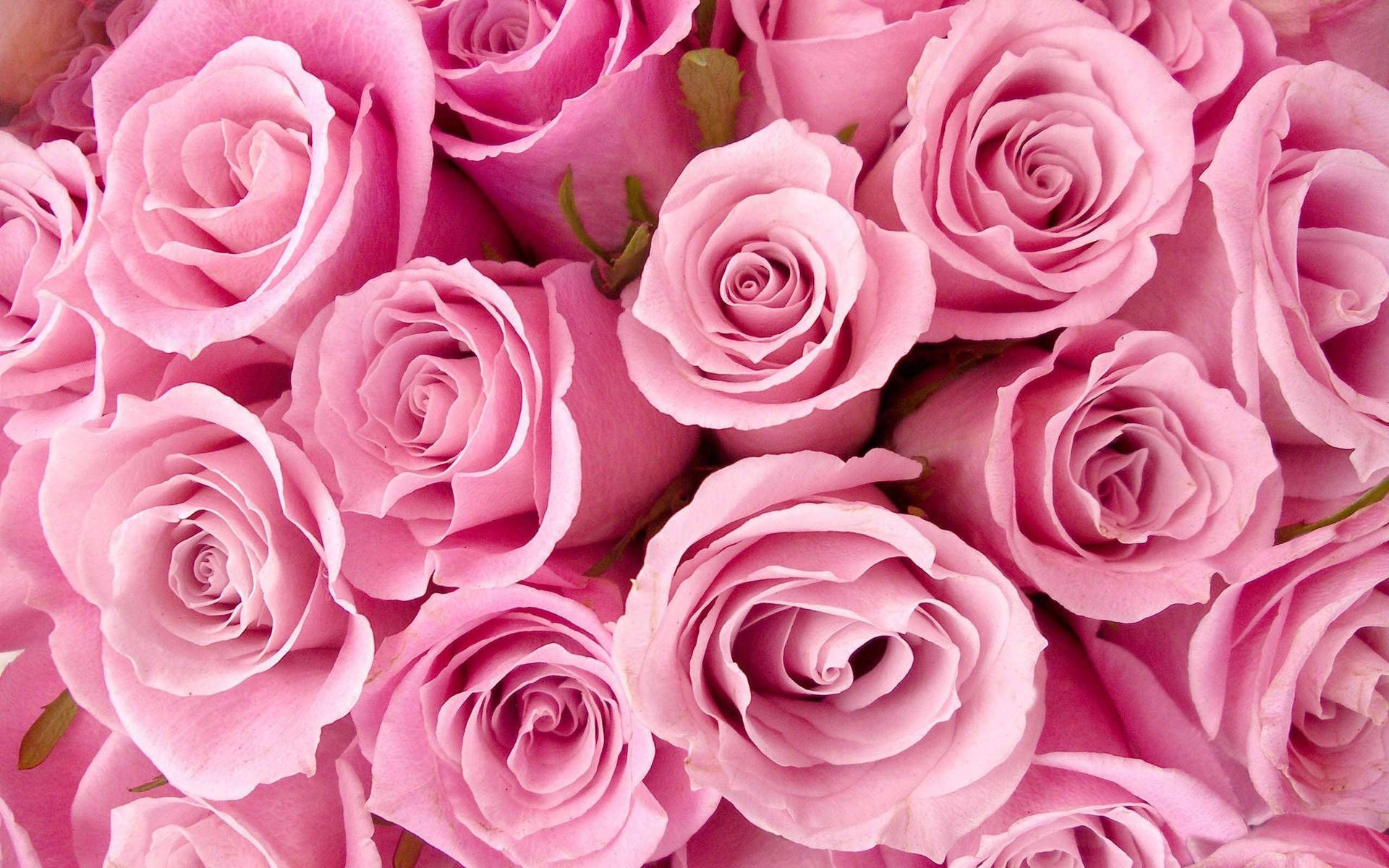 Aesthetic Girly Bouquet Of Flowers Wallpaper