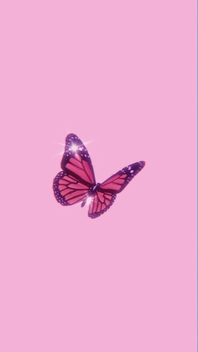 Aesthetic Girly Butterfly