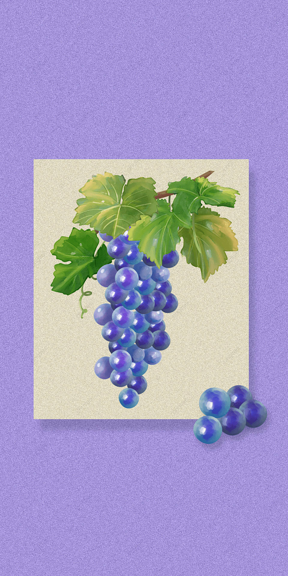 Aesthetic Grape Painting Wallpaper