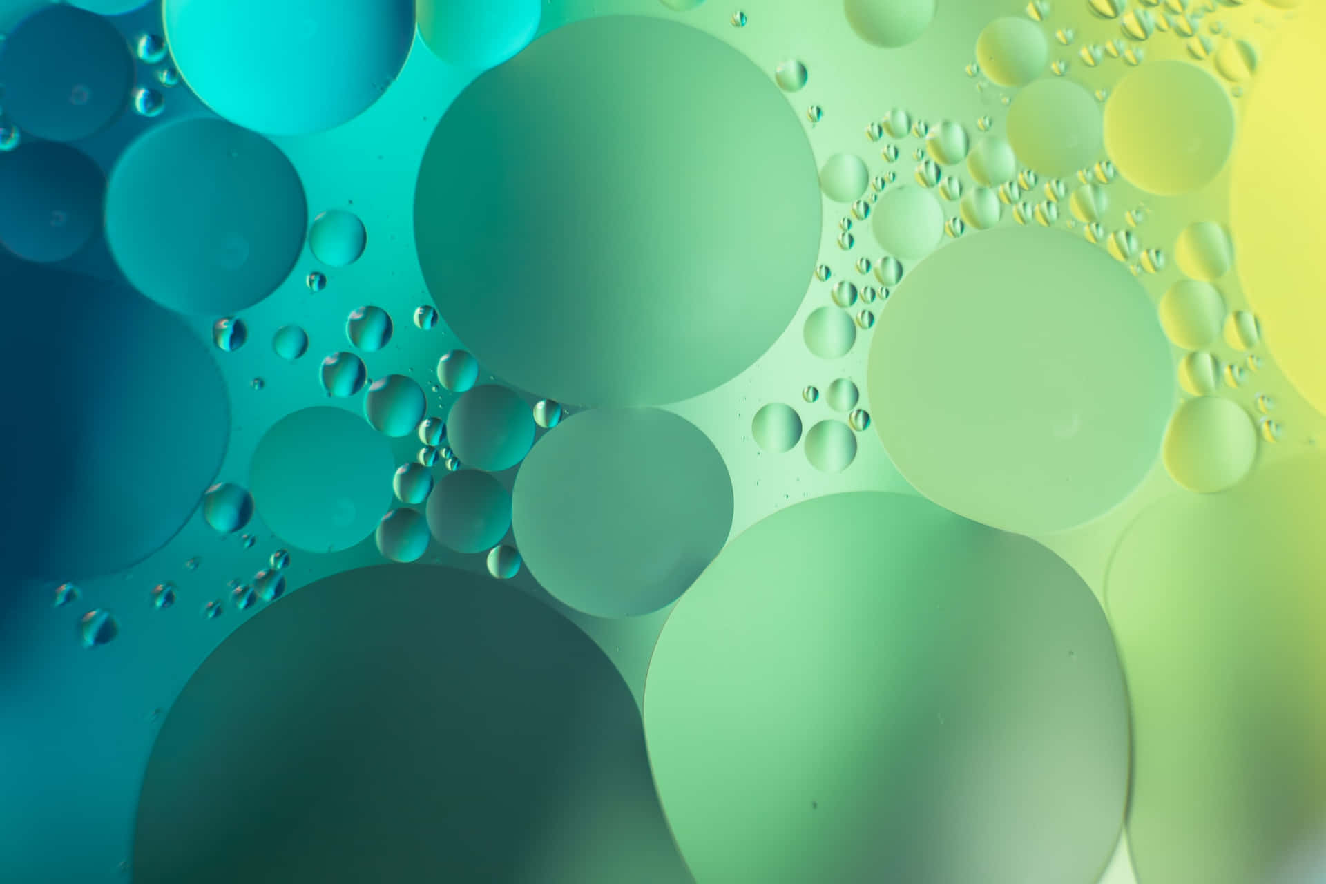 Aesthetic Green Background Abstract Gradient Circles
