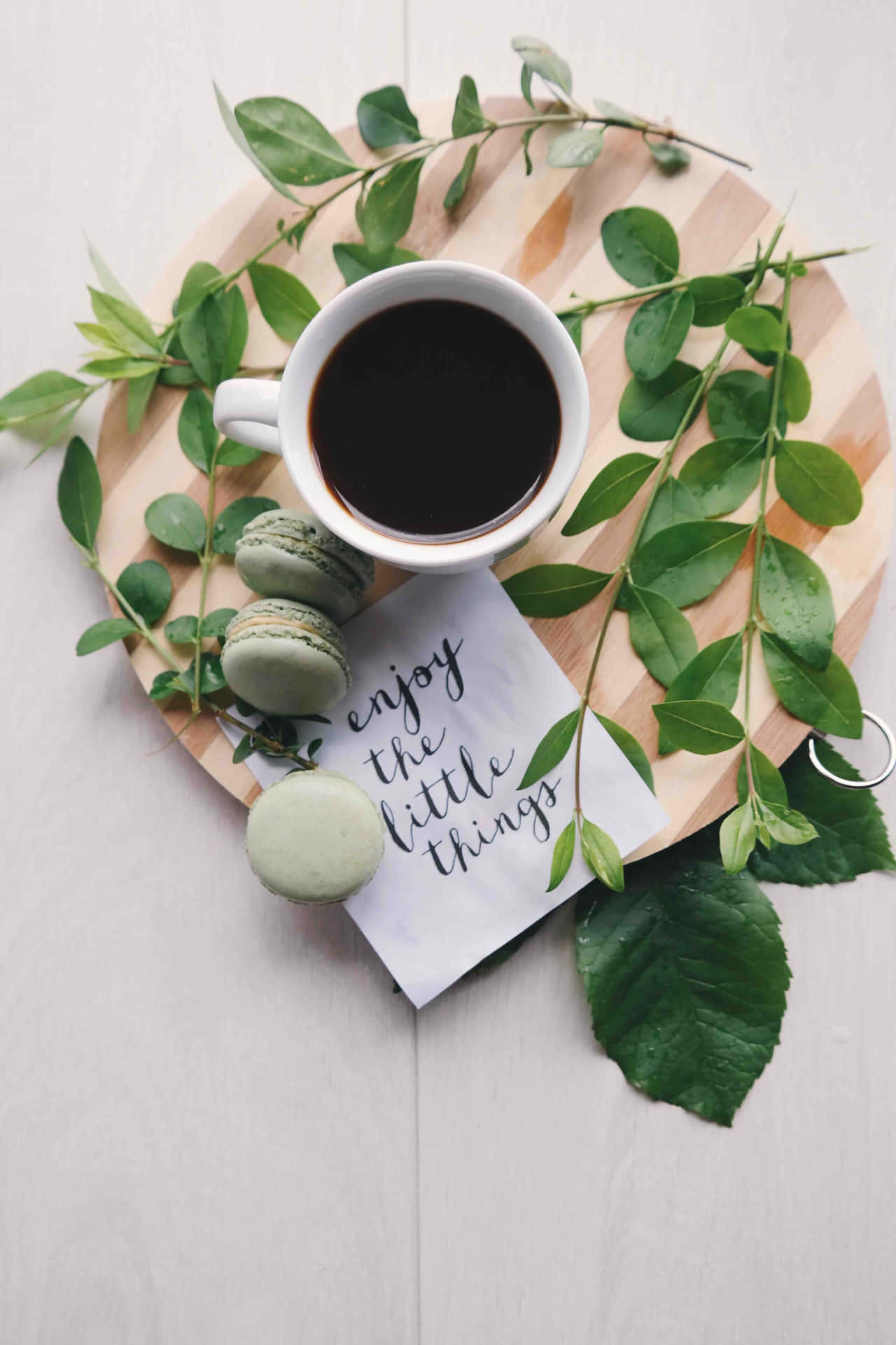 Aesthetic Green Background Black Coffee And Leaves Background