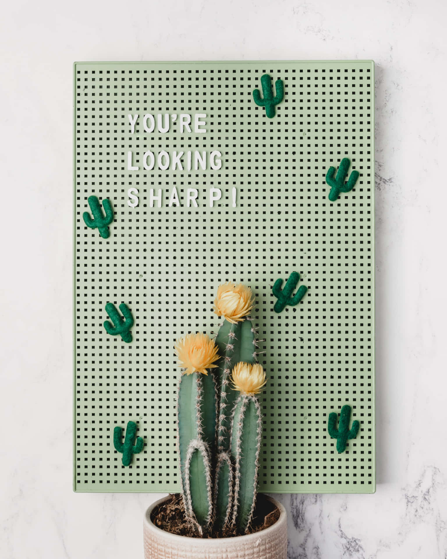 Aesthetic Green Background Cactus And Quote