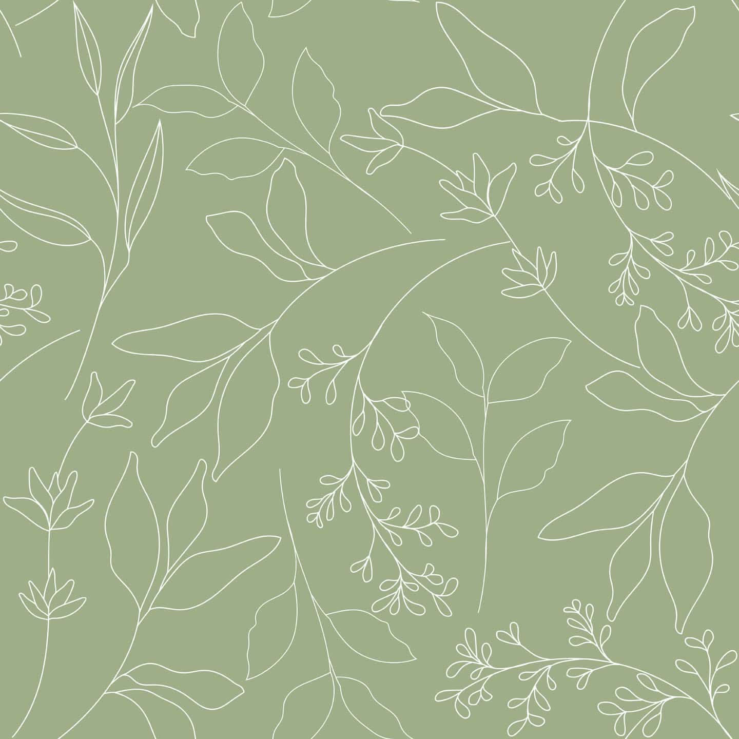 Aesthetic Green Minimal Delicate Leaves Wallpaper