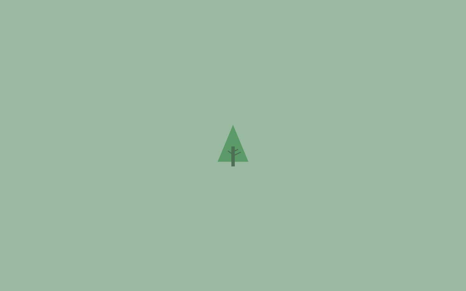 Minimalist Aesthetic Green Pine Tree Pictures 1500 x 938 Picture