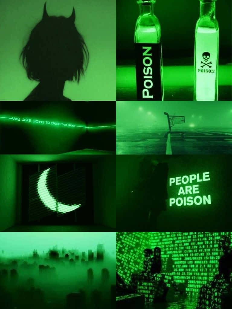 Aesthetic Green Neon Collage Pictures 768 x 1024 Picture