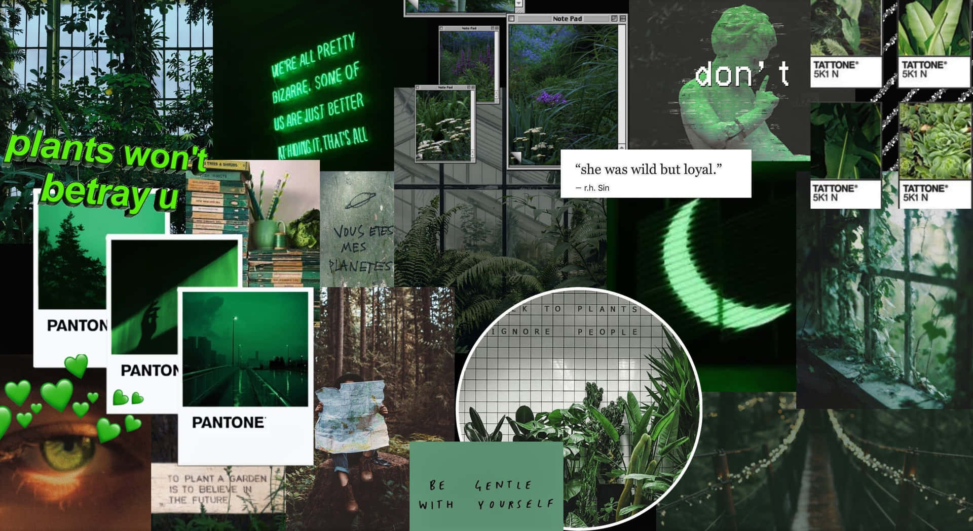 Random Aesthetic Green Collage Pictures