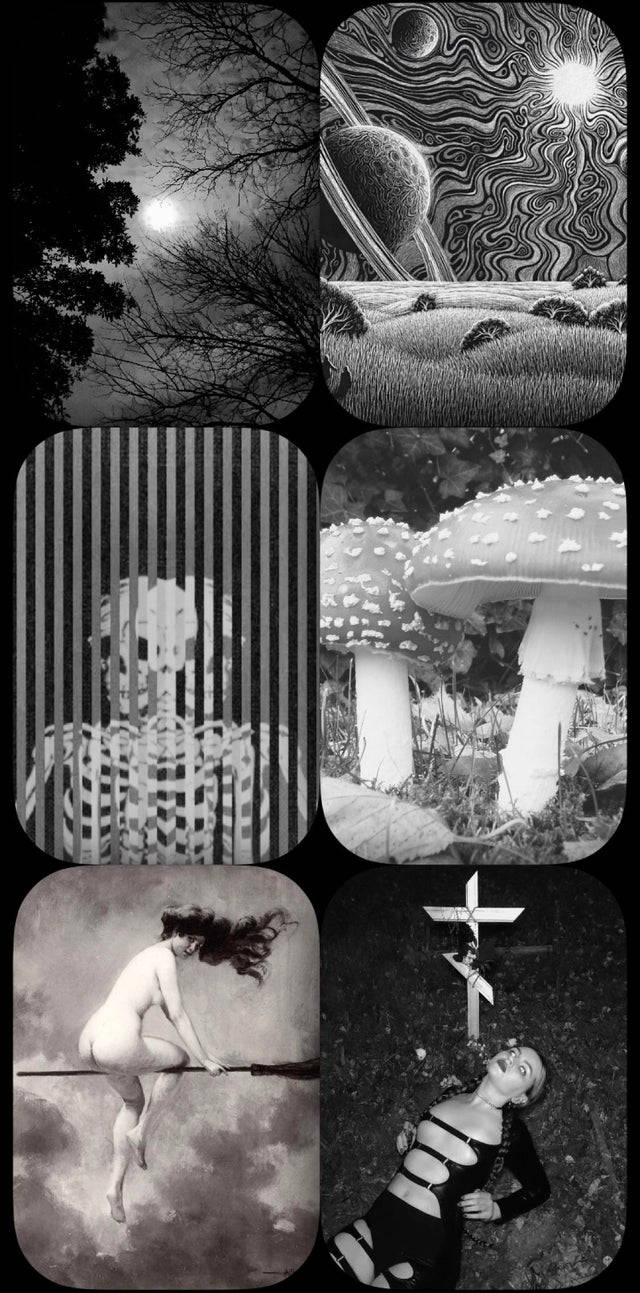 Mushroom Aesthetic Grunge iPhone Wallpaper