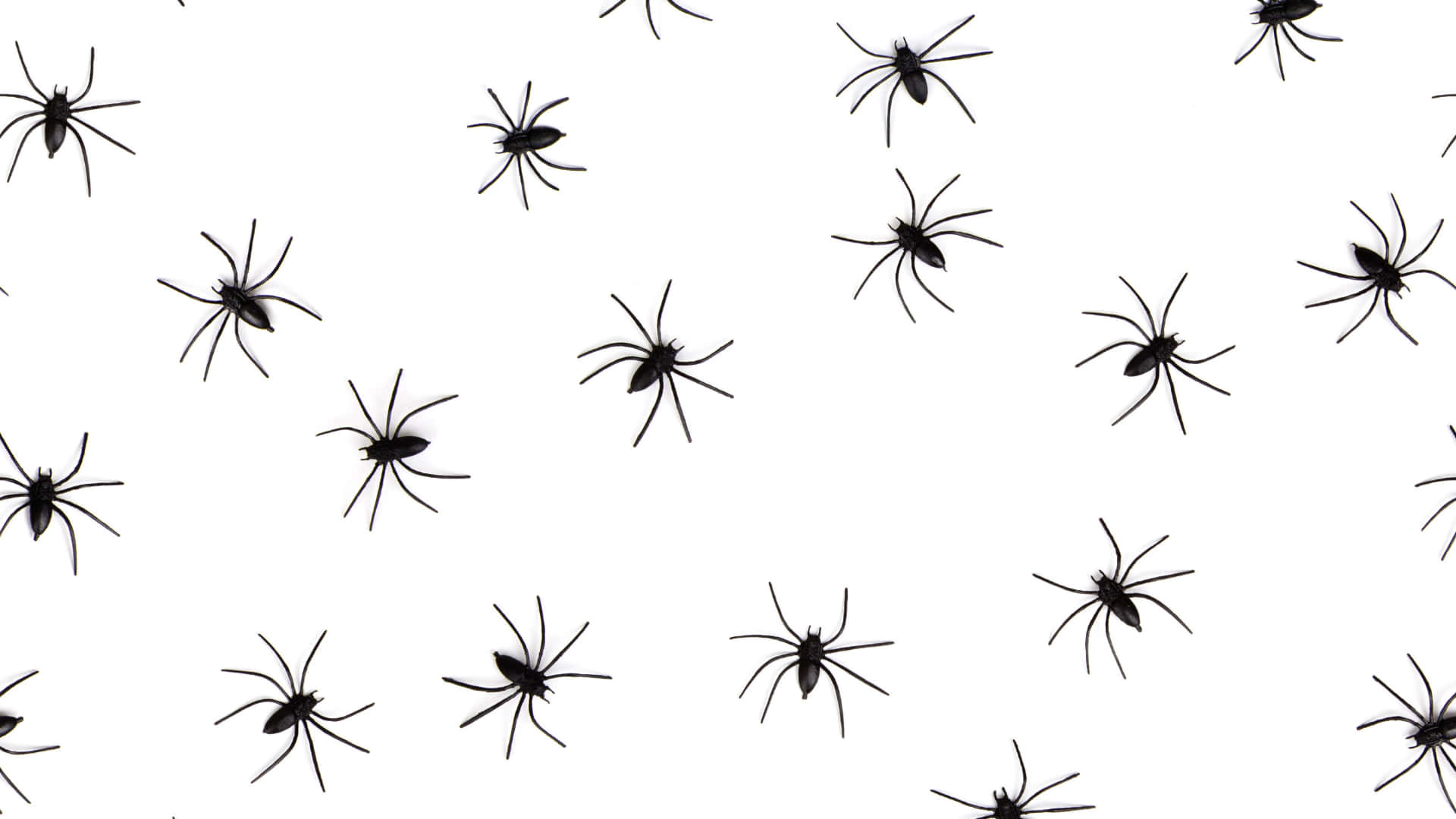 Aesthetic Halloween Background Simplistic Spider Pattern Background