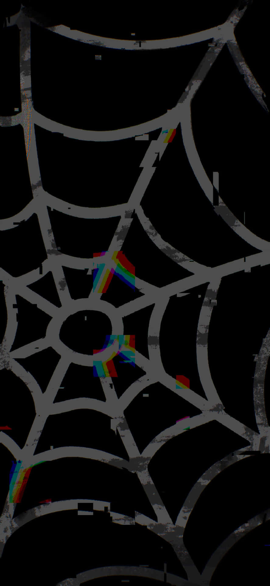 a spider web with rainbow colors
