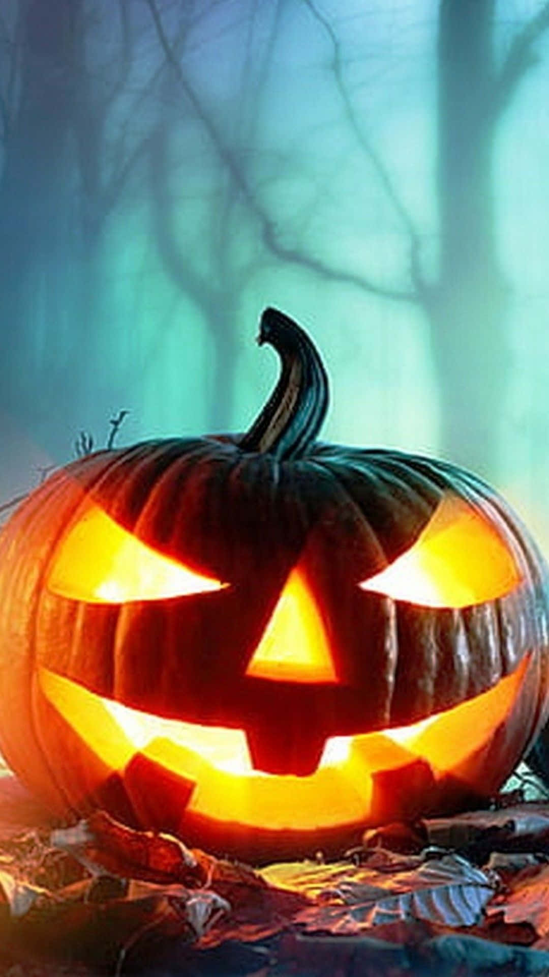 halloween pumpkin in the forest