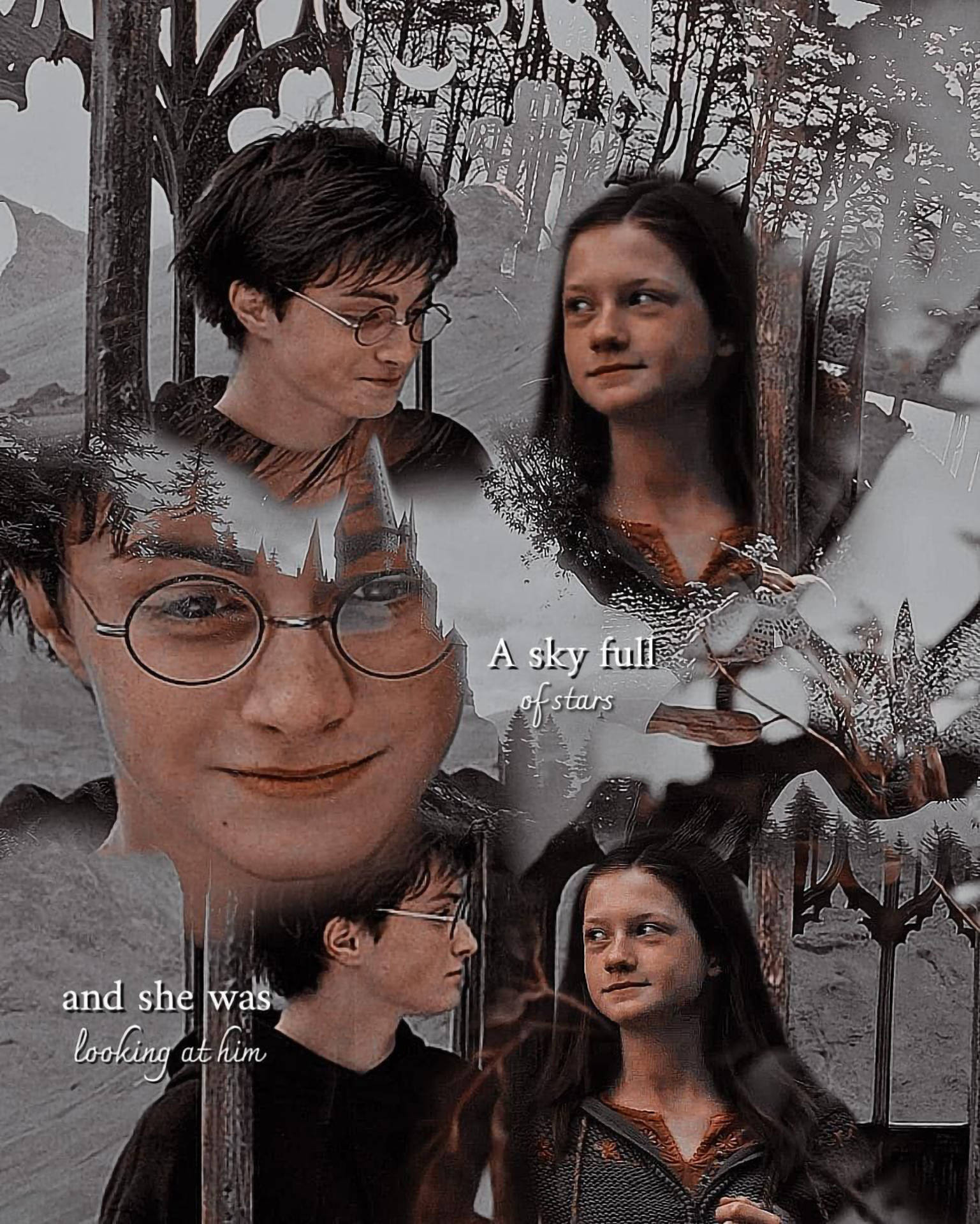 Æstetisk Harry Potter og Ginny Digital Kunst Tapet Wallpaper