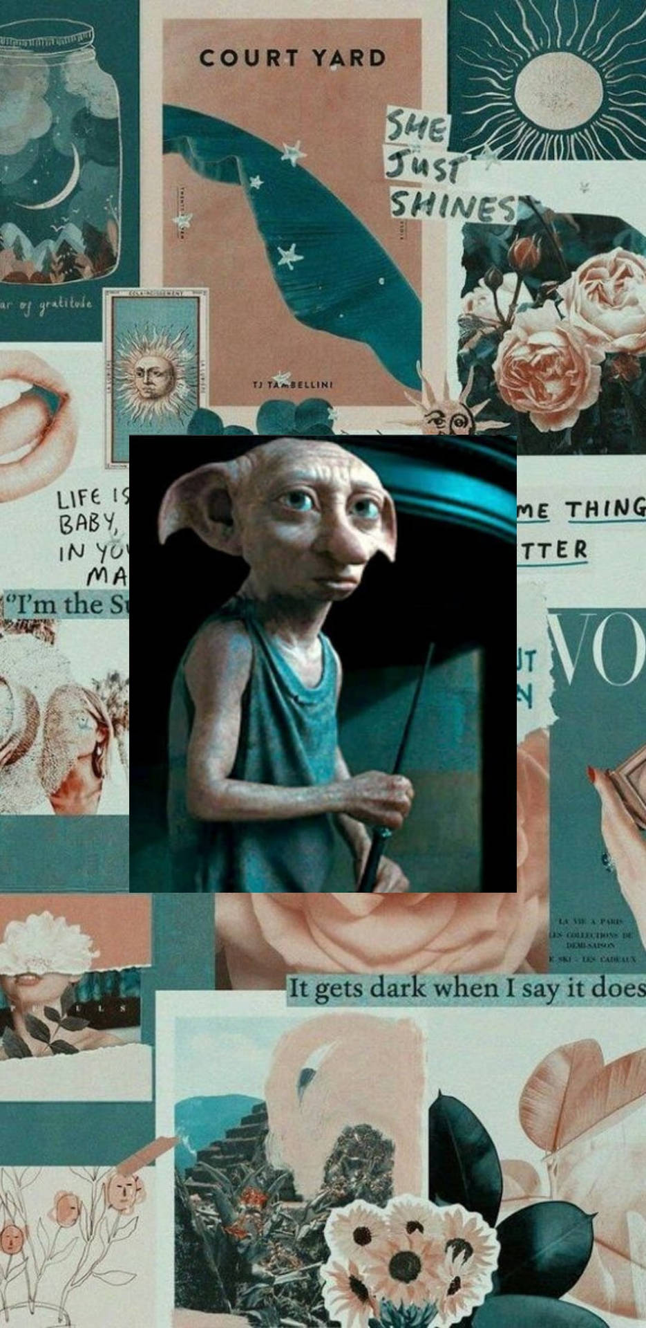 Collageestético De Harry Potter Y Dobby Fondo de pantalla