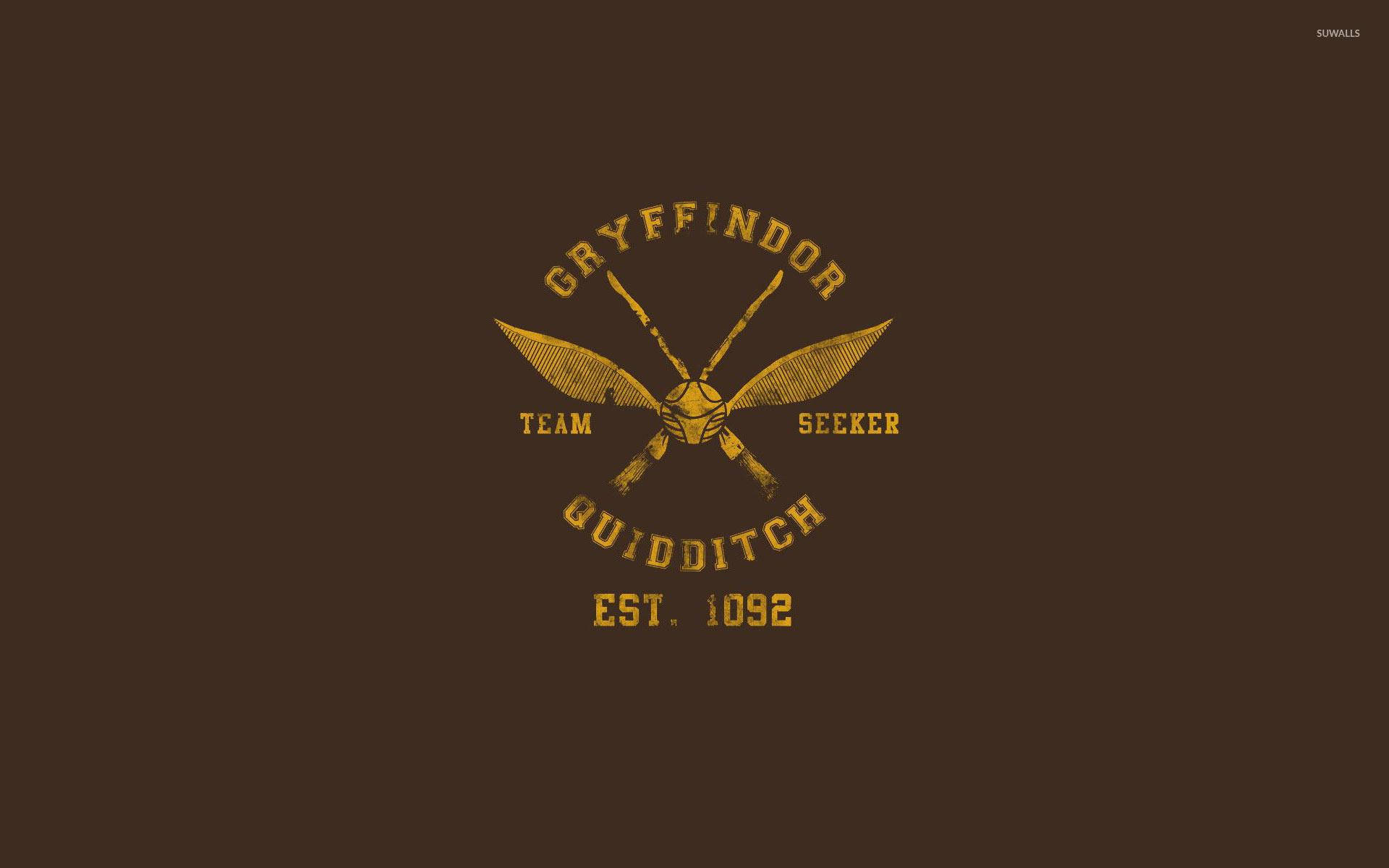 Aesthetic Harry Potter Gryffindor Quidditch Wallpaper
