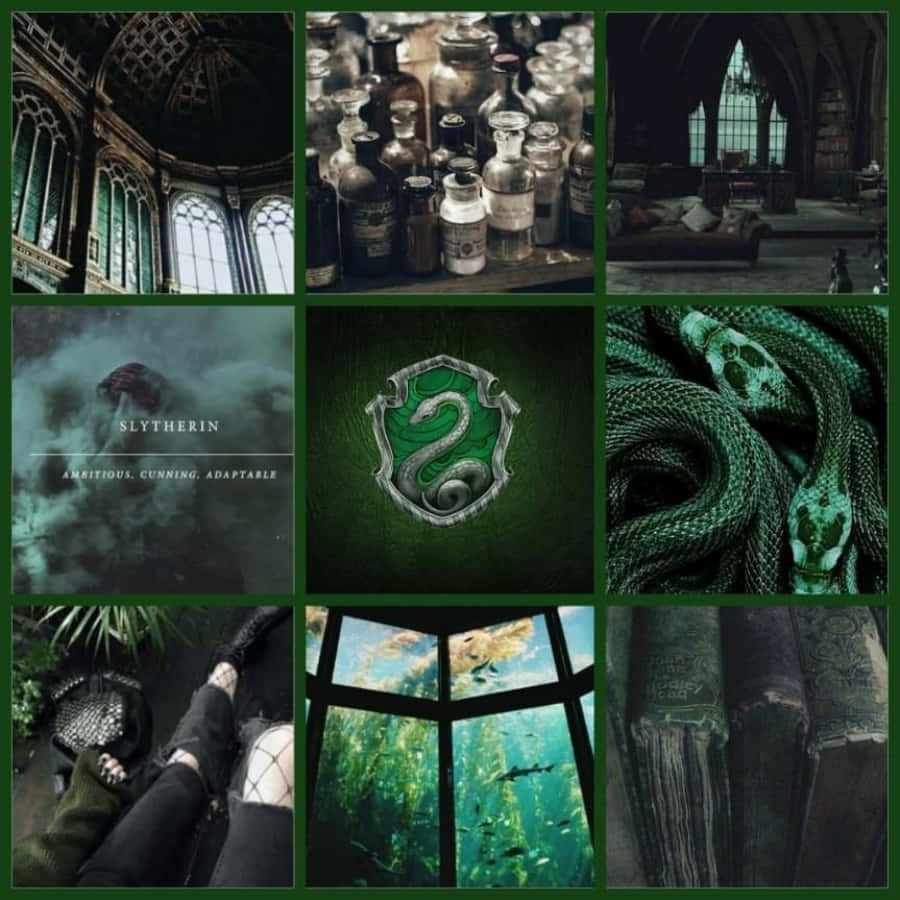 Harry Potter Collage With Green And Black Pictures