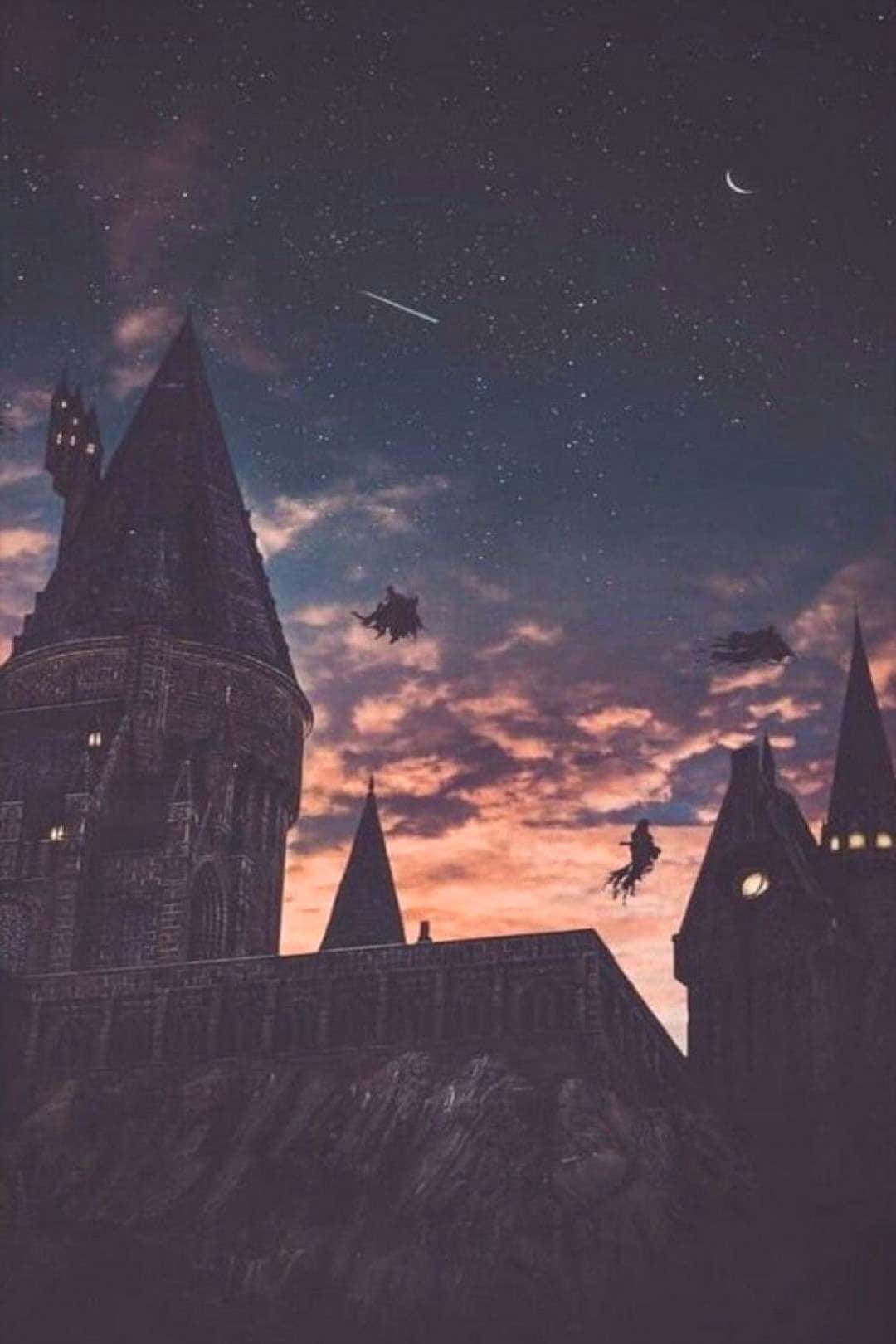 Vuelahacia Hogwarts.
