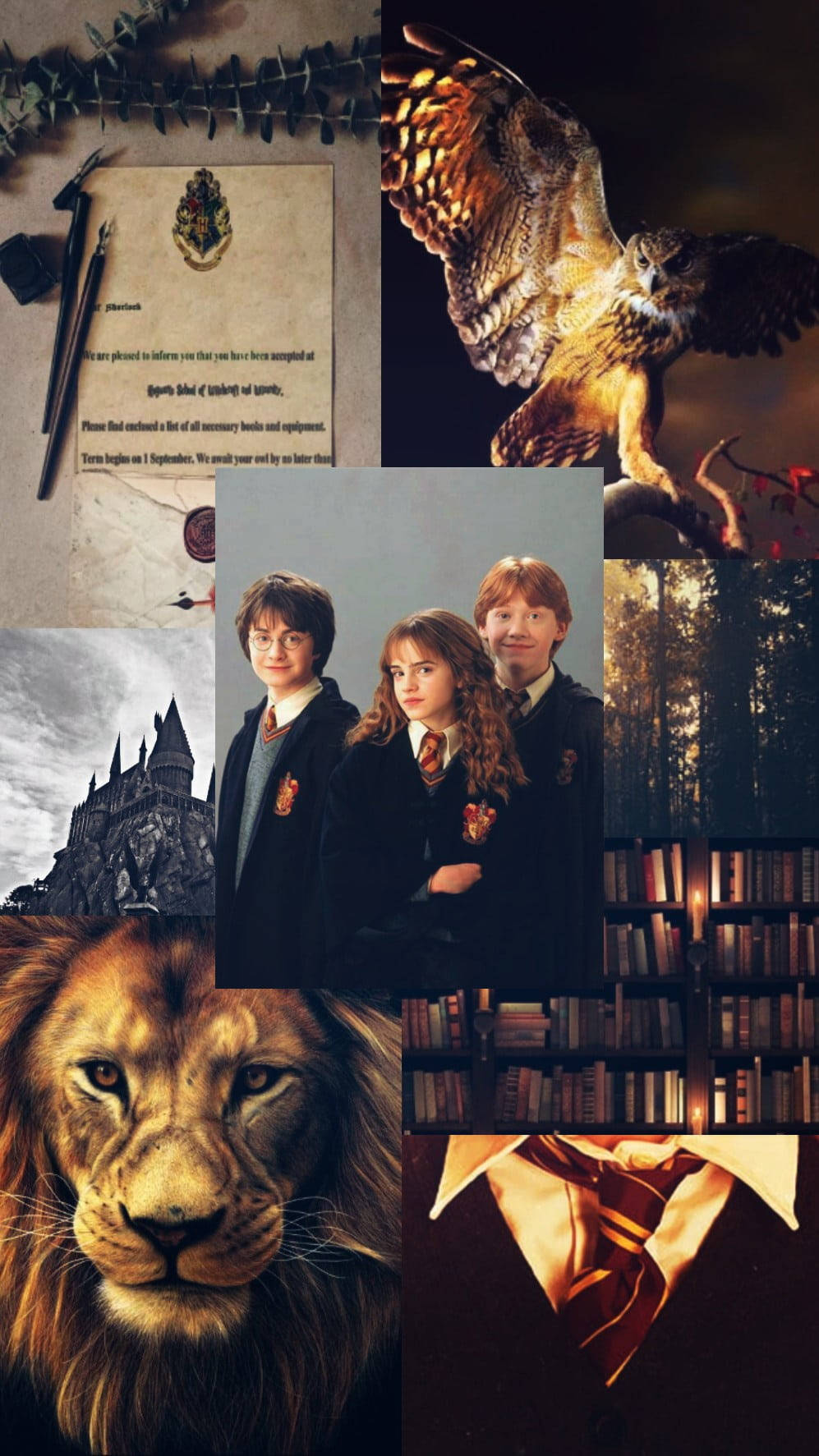Aesthetic Harry Potter Young Gryffindors Wallpaper
