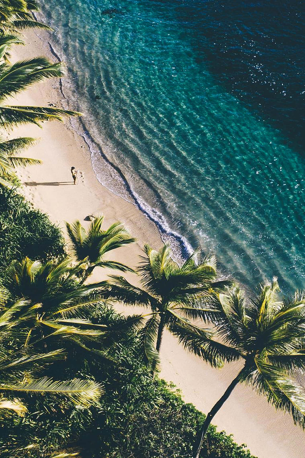 Vistaaérea De Playa Con Palmeras En Hawái Con Estética Agradable Fondo de pantalla