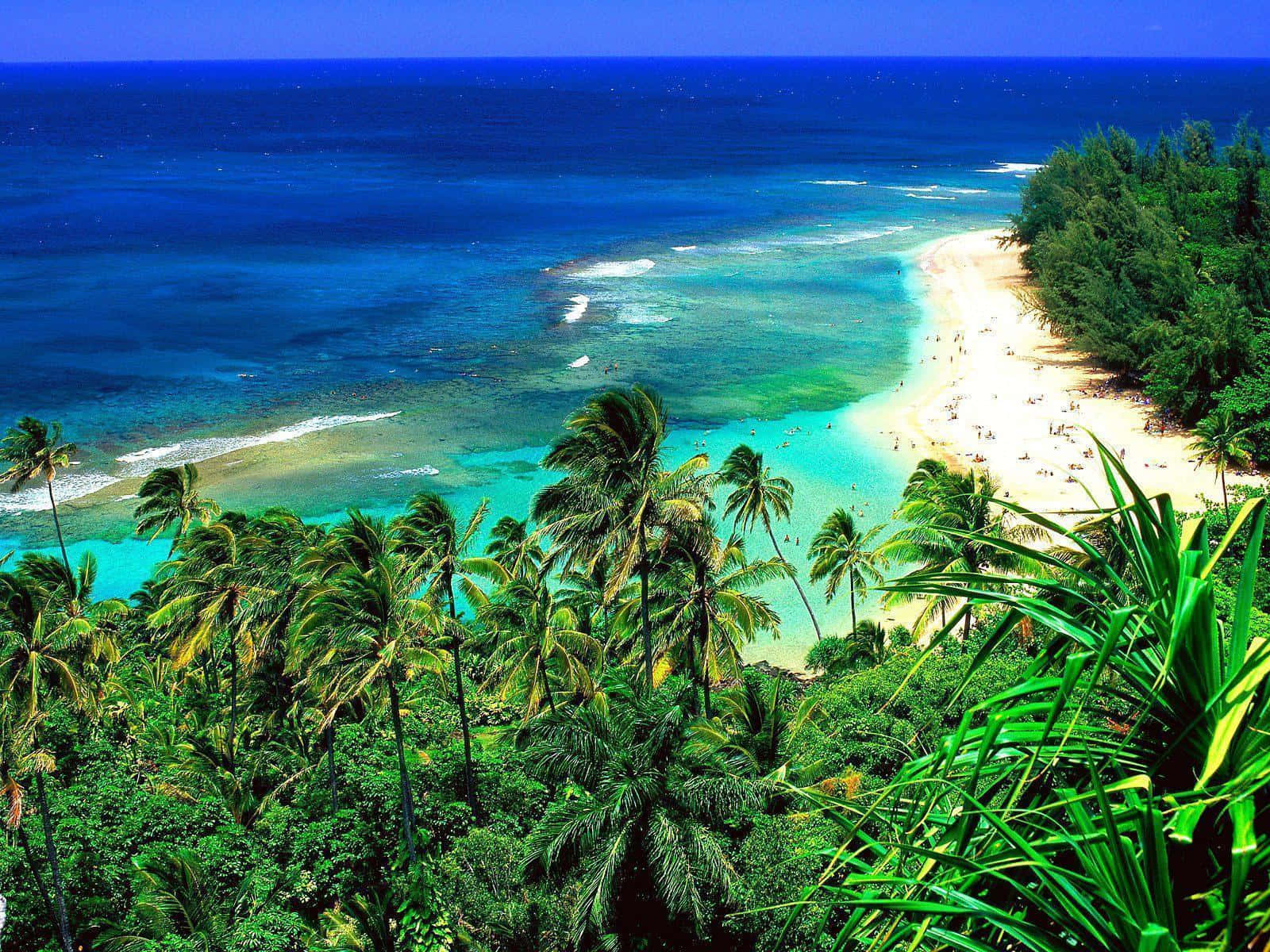Spüredie Schönheit Und Entspannung Der Hawaiianischen Inseln Wallpaper