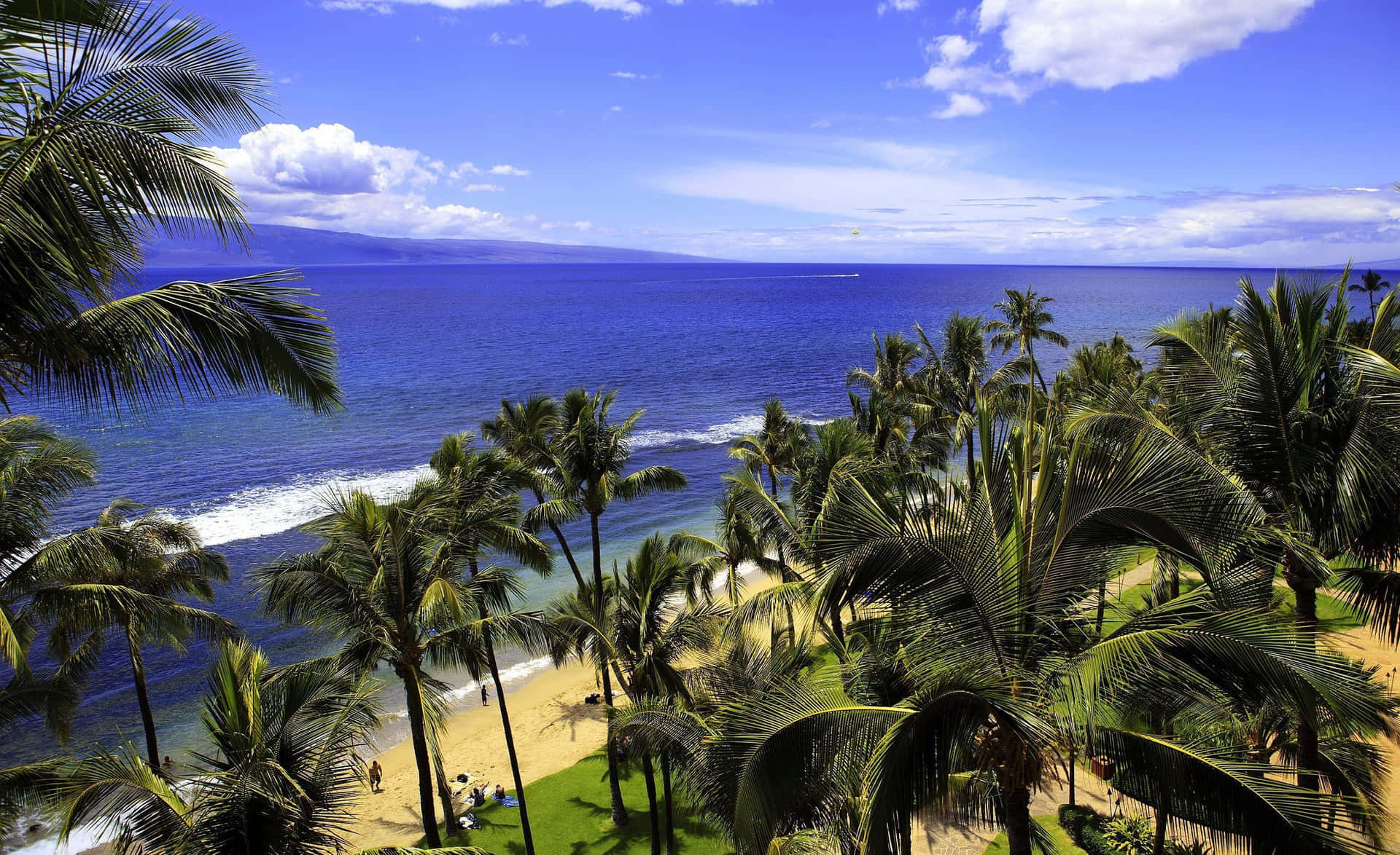Disfrutade La Vista De Hawái Estética. Fondo de pantalla
