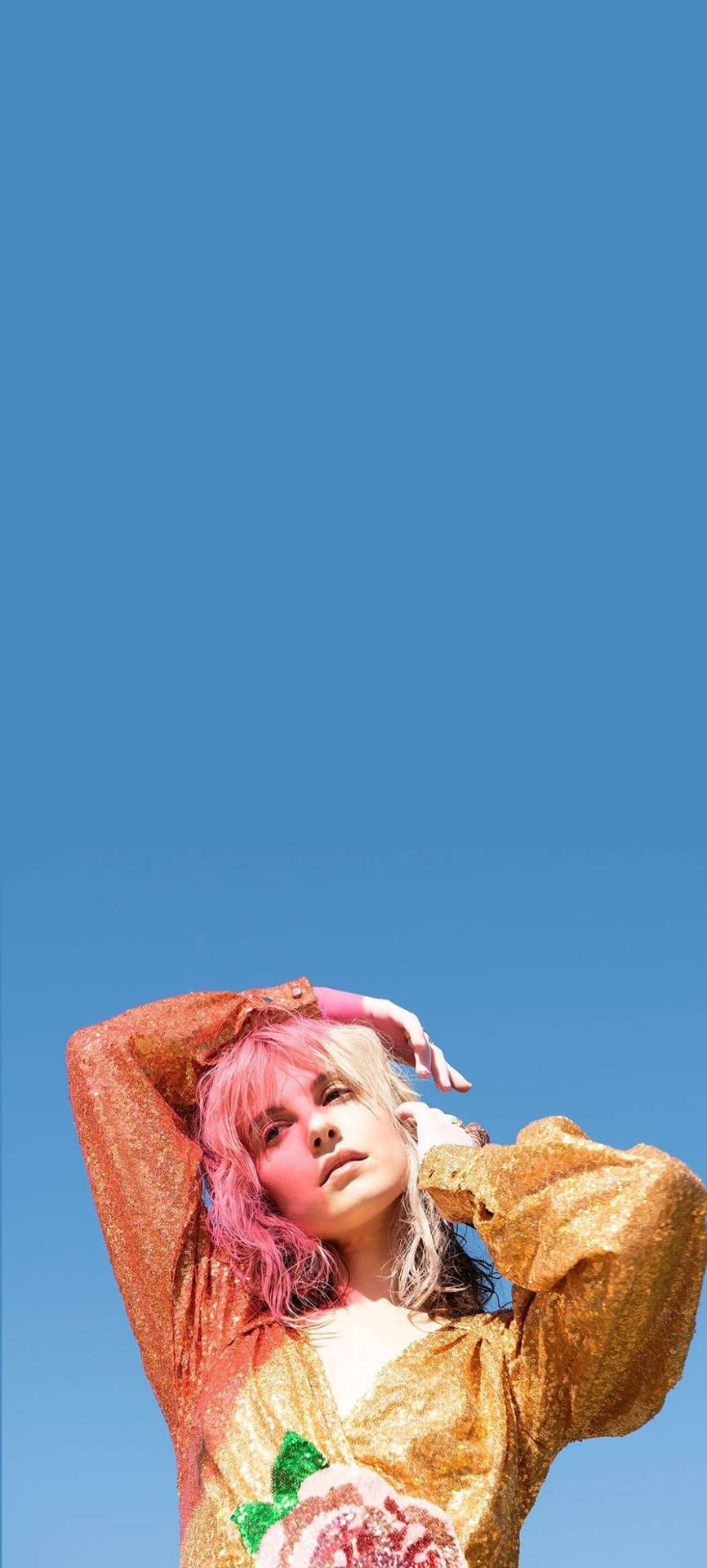 Aesthetic Hayley Williams Low Angle Photo Background