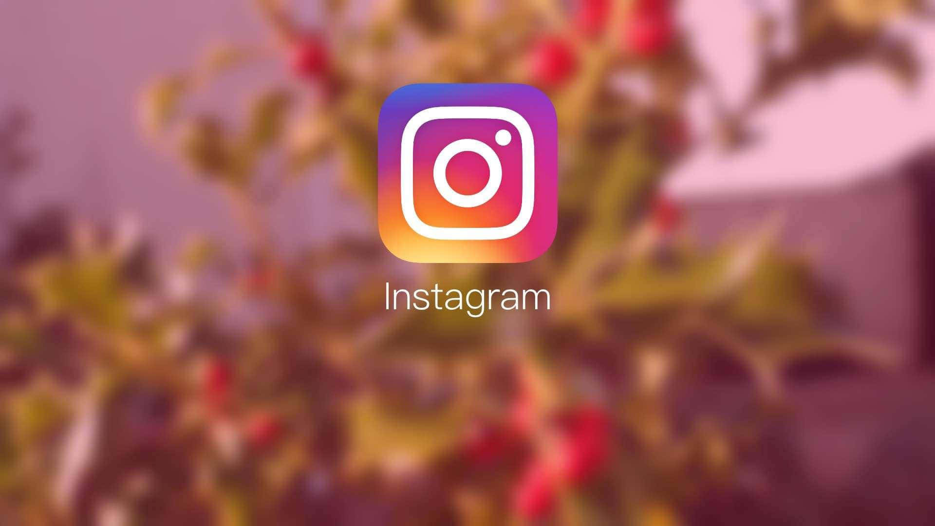 Aesthetic Instagram Multicolor Logo Wallpaper
