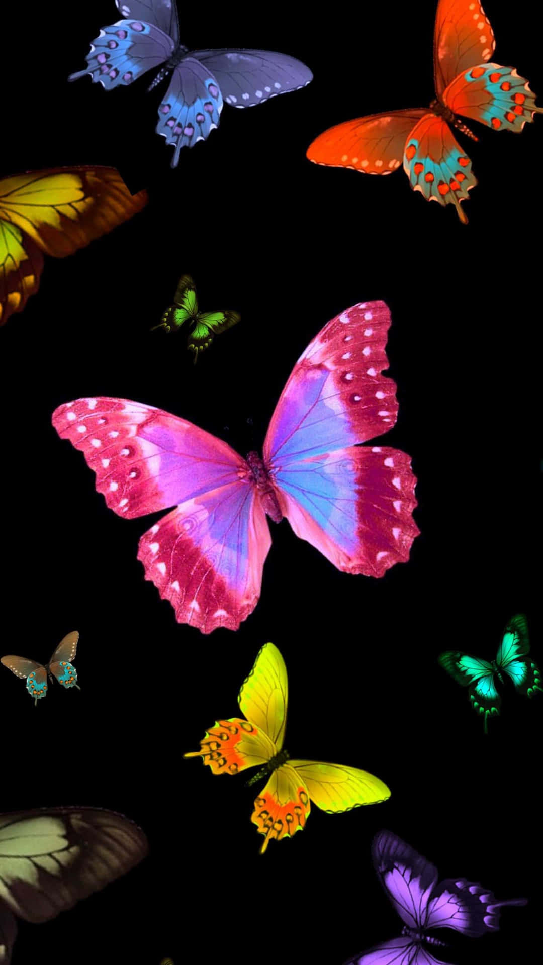 Aesthetic Intricacy Of A Butterfly Wallpaper