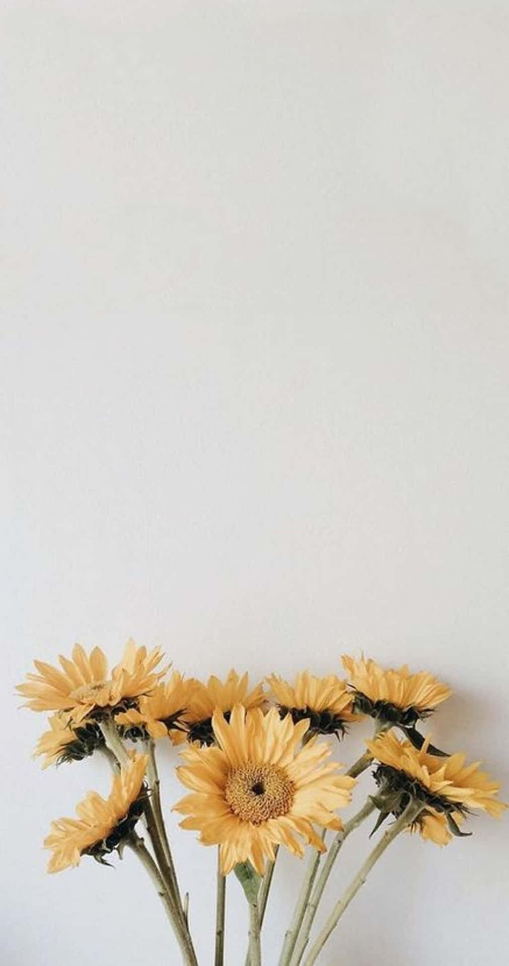 A Vase Of Yellow Sunflowers Sitting On A White Table