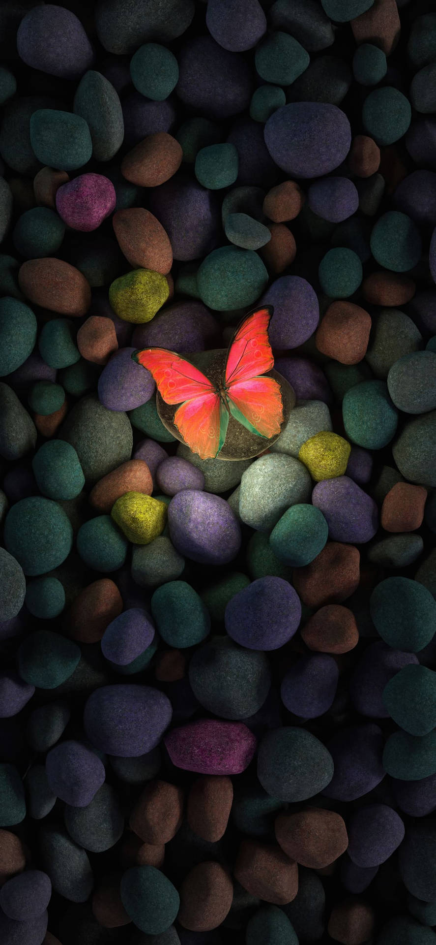 Coloridofondo De Pantalla De Guijarros Y Mariposas Estético Para Iphone Xr. Fondo de pantalla