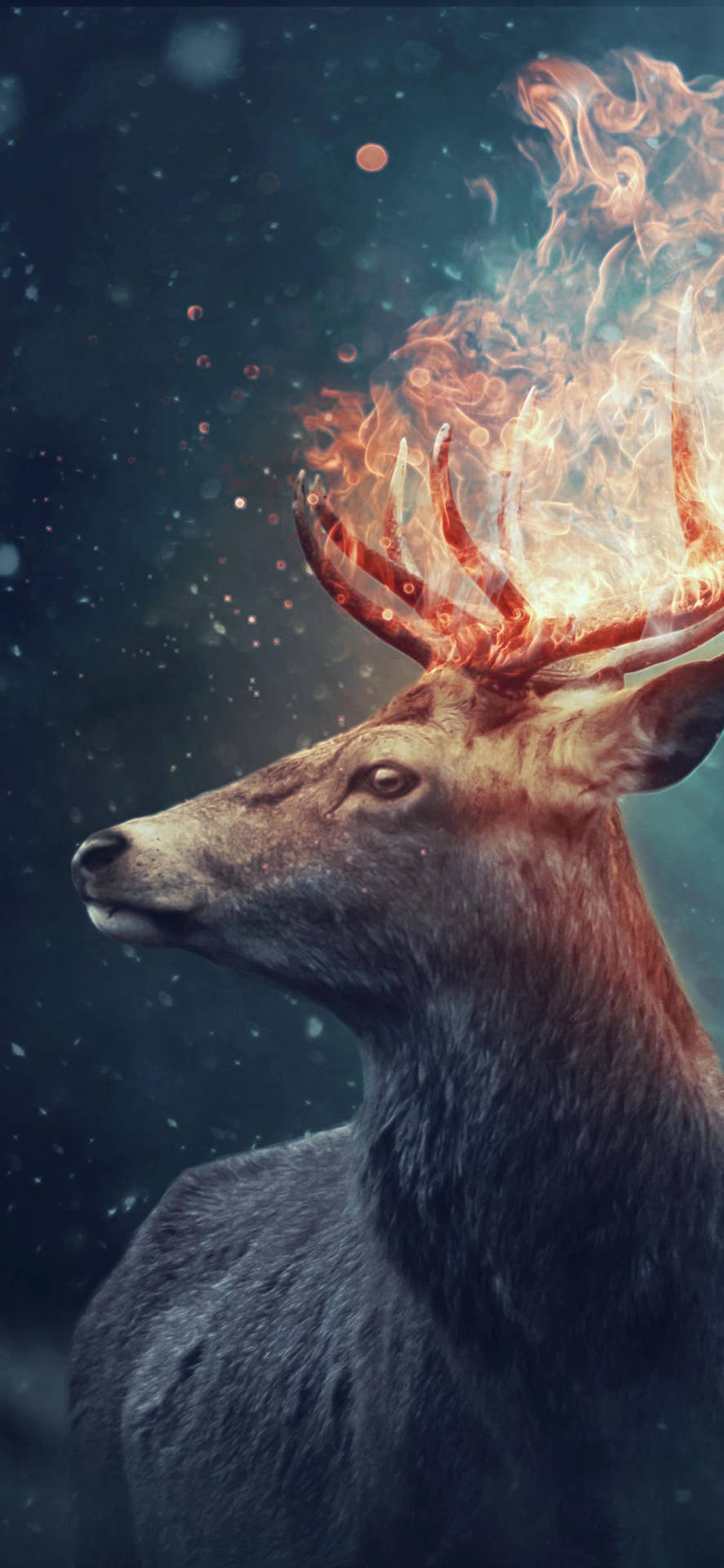Flaming Deer Horn Aesthetic Iphone Xr Wallpaper