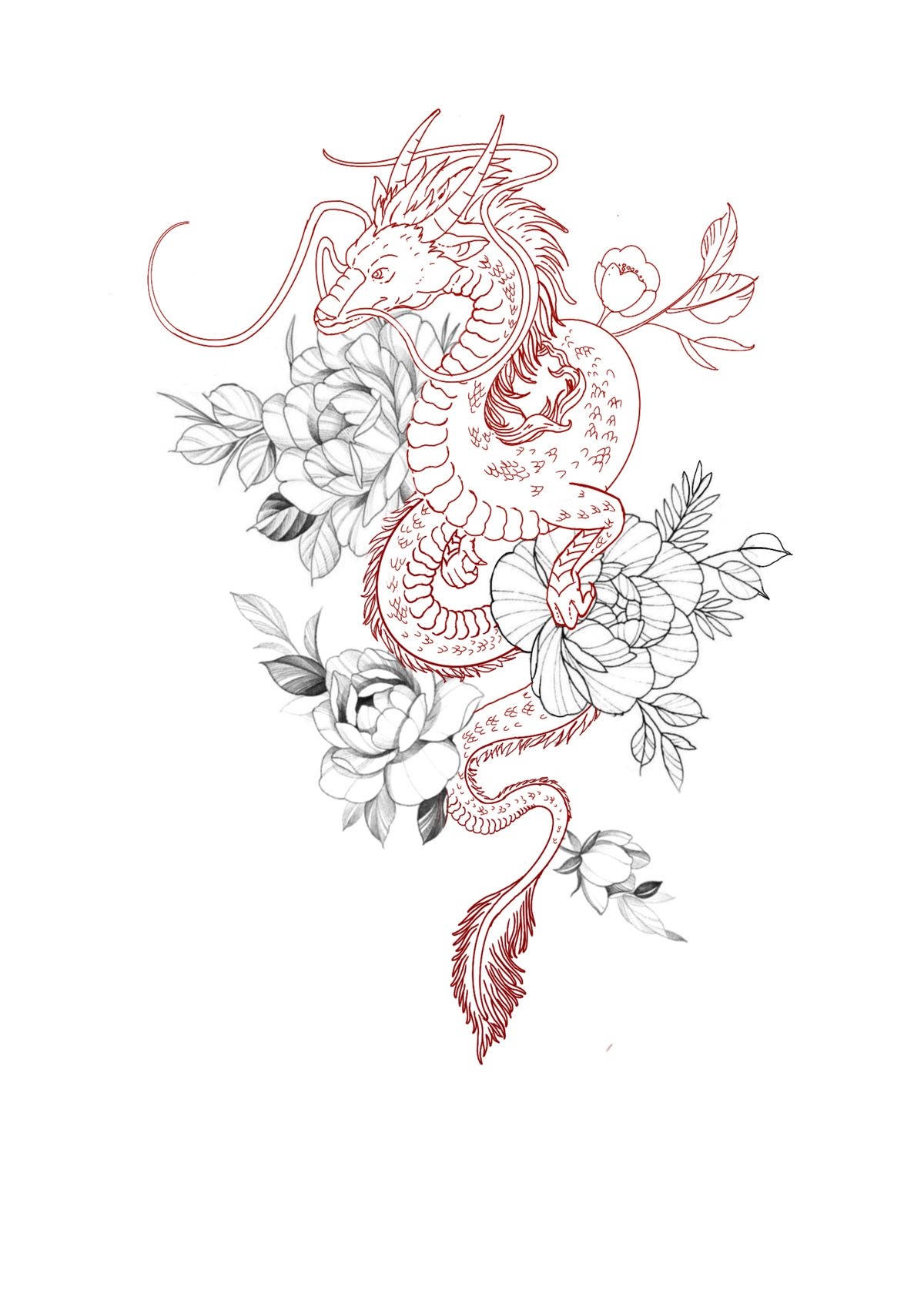 Download Red Japanese Dragon Tattoo Drawing Wallpaper  Wallpaperscom