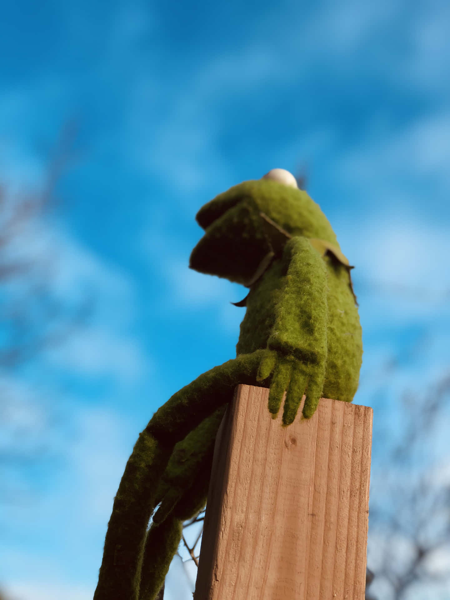 Aesthetic Kermit On Wooden Post Wallpaper