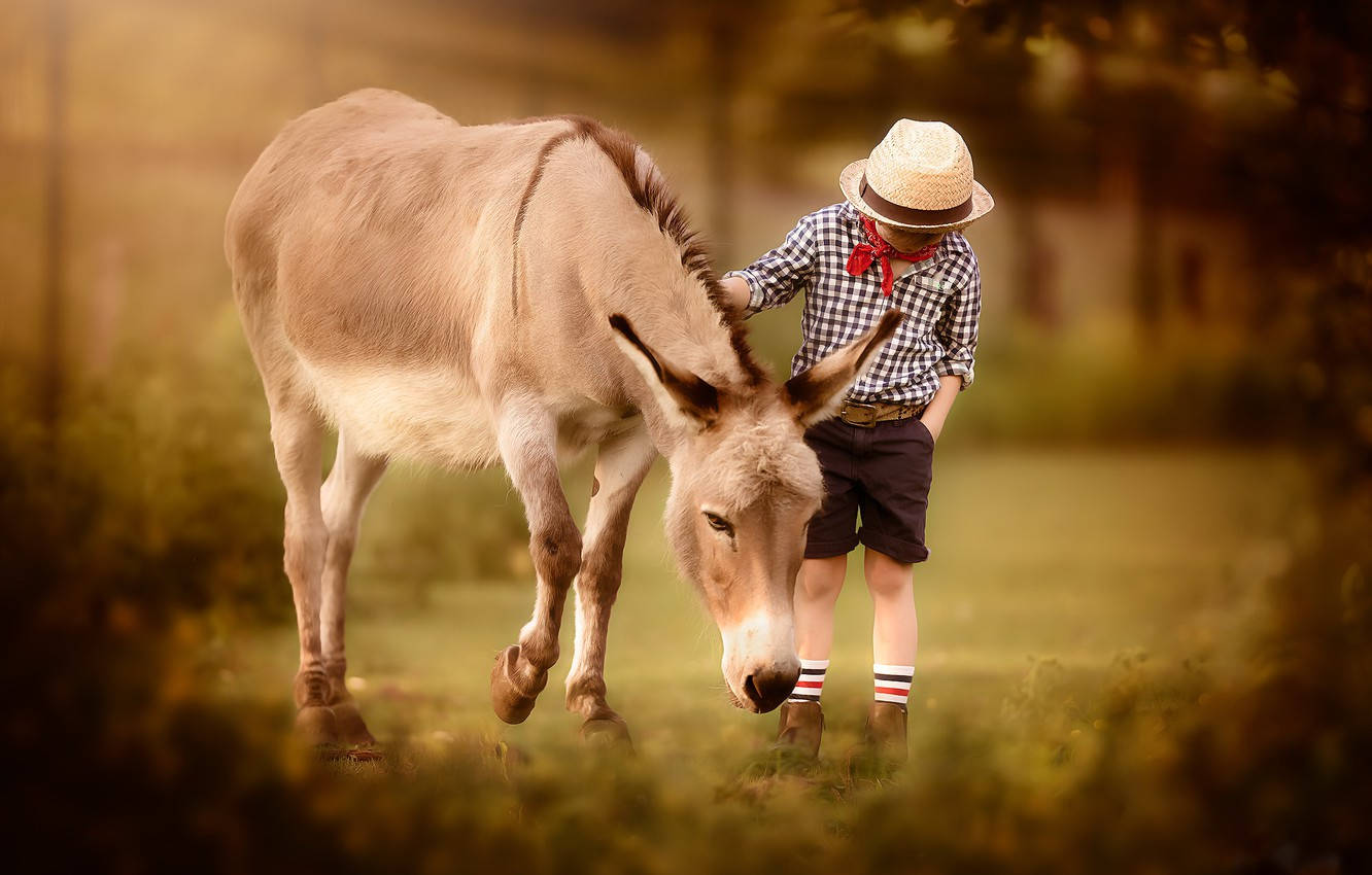 Aesthetic Kid And Donkey Wallpaper