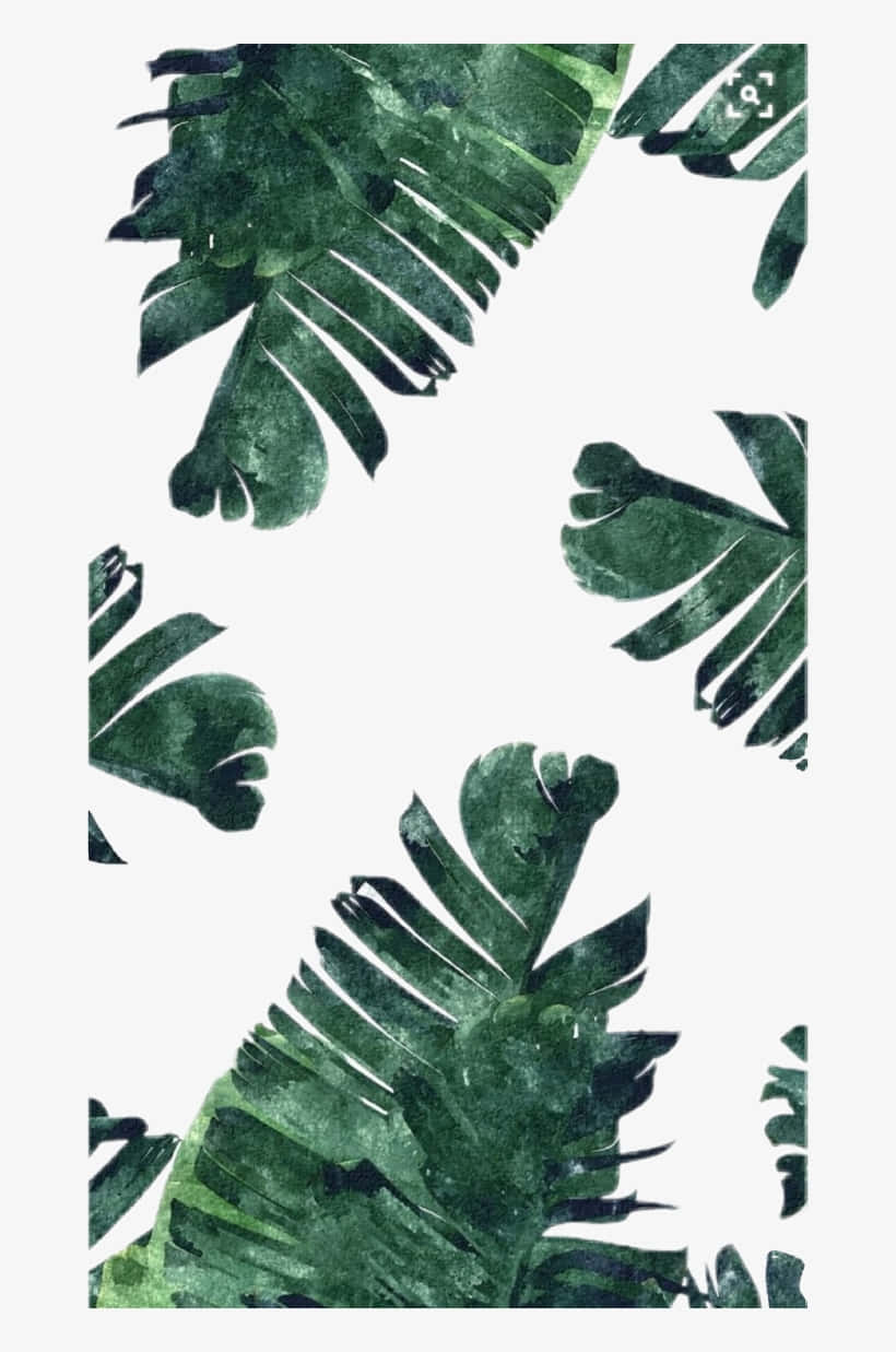 "Beautiful aesthetic leaf design."