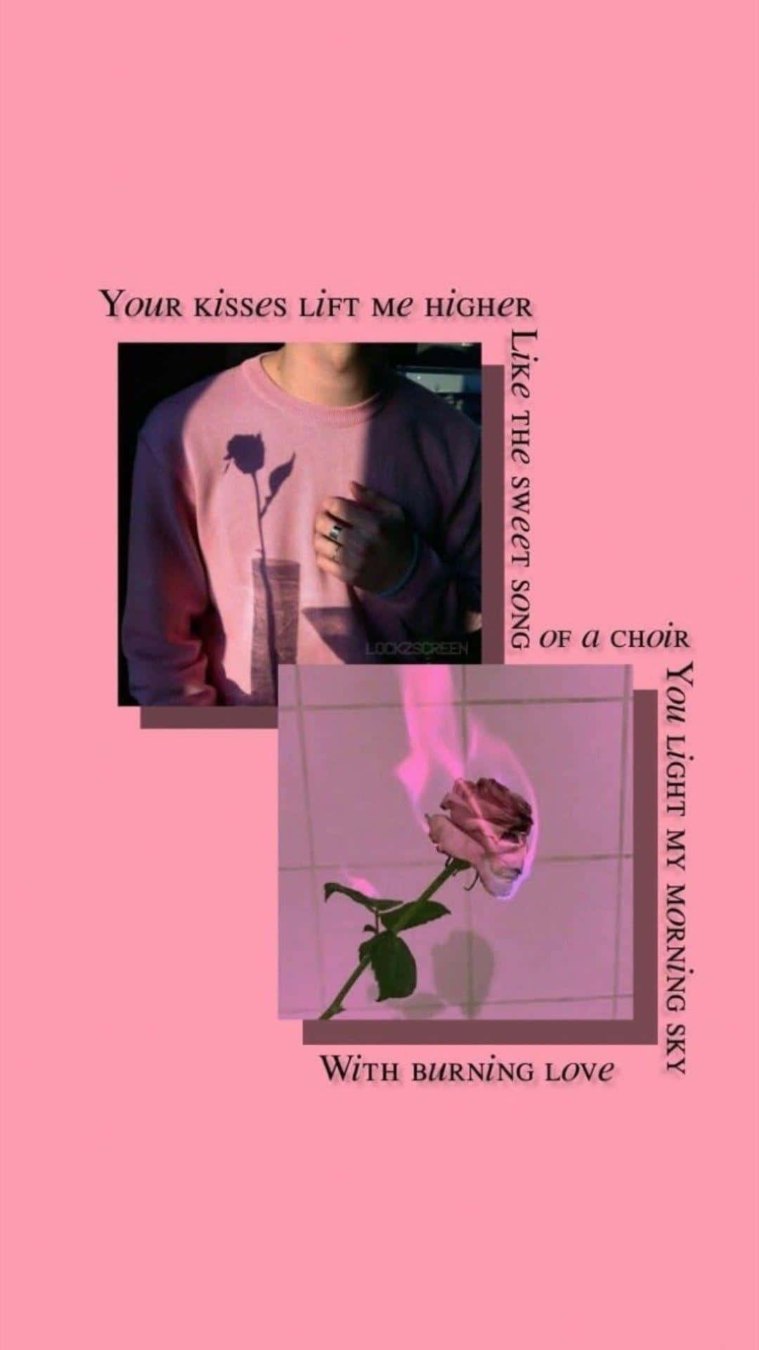 a pink background with a rose and a quote