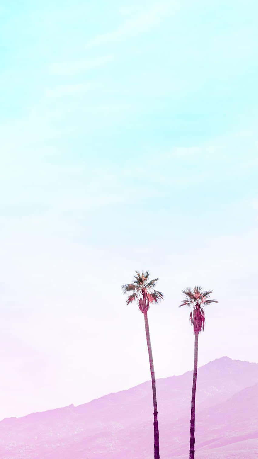 To palmer foran et bjerg panorama Wallpaper