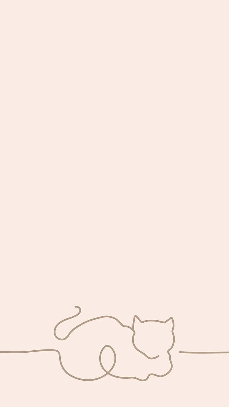Einekatze Schläft Auf Einem Pinken Hintergrund. Wallpaper