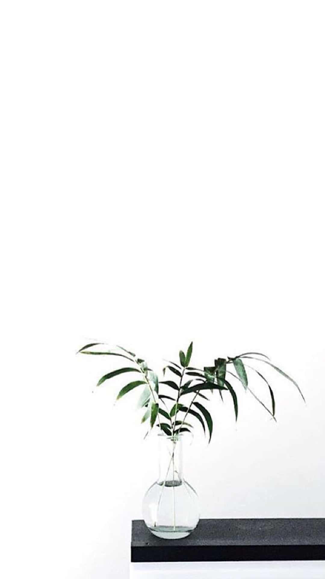Bildhochwertiges Ästhetisches Minimalistisches Iphone-hintergrundbild Wallpaper