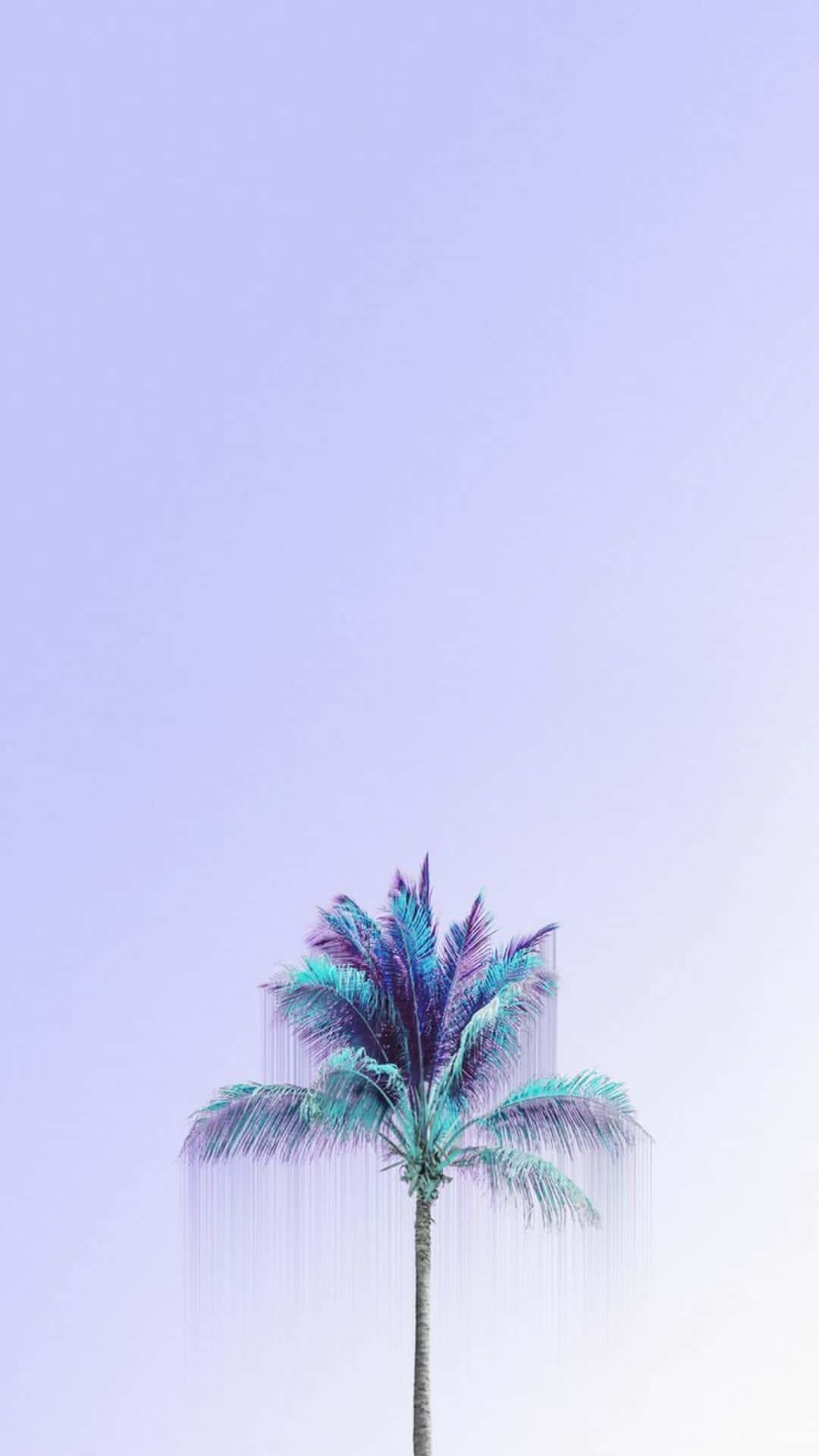 A Palm Tree In A Blue Sky Wallpaper