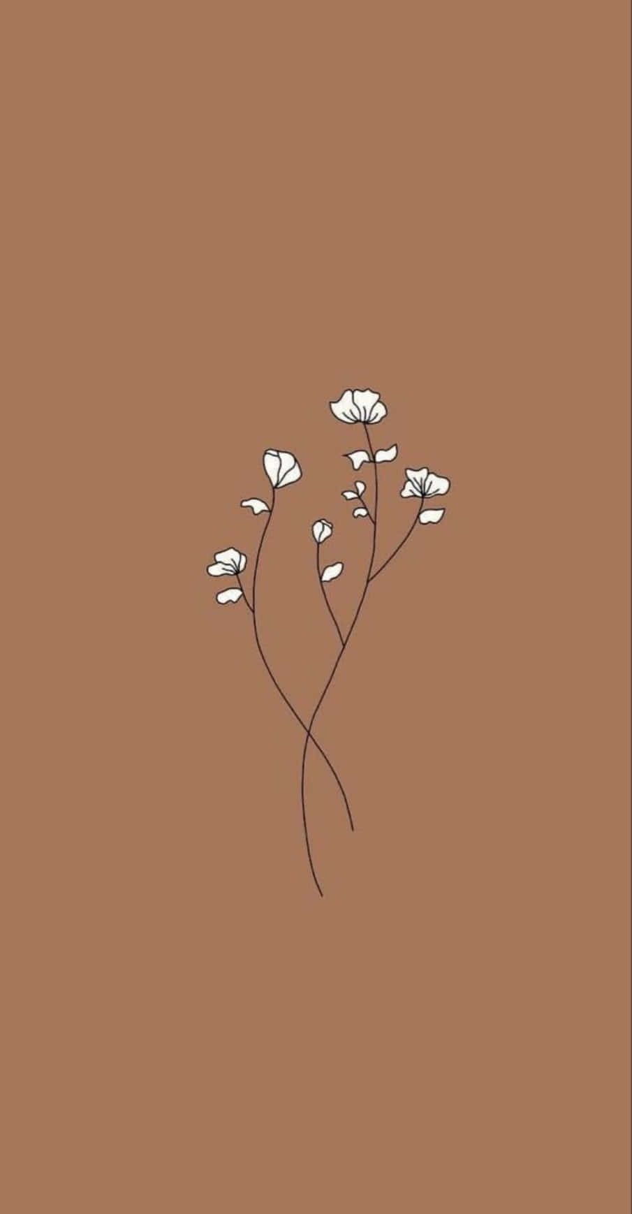 A White Flower On A Brown Background