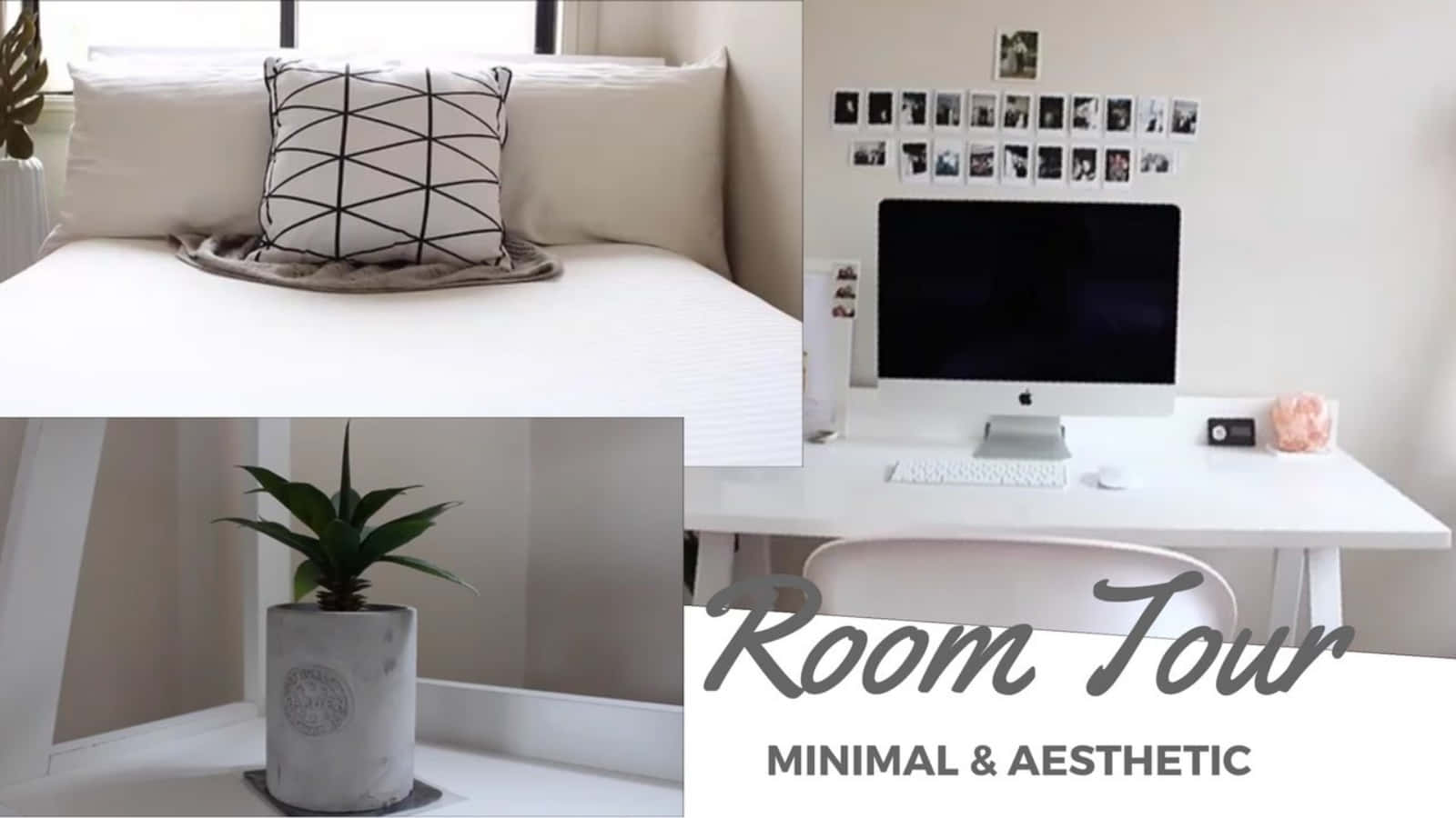 A Room Tour With A Bed, A Desk, And A Plant