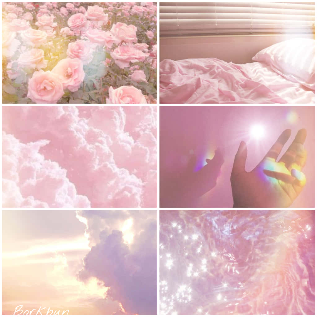 Pink Roses, Clouds, And A Bed Wallpaper