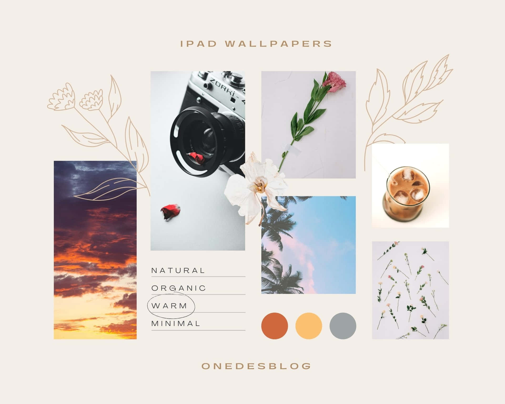 Let your creativity flourish and explore the aesthetic possibilities Wallpaper