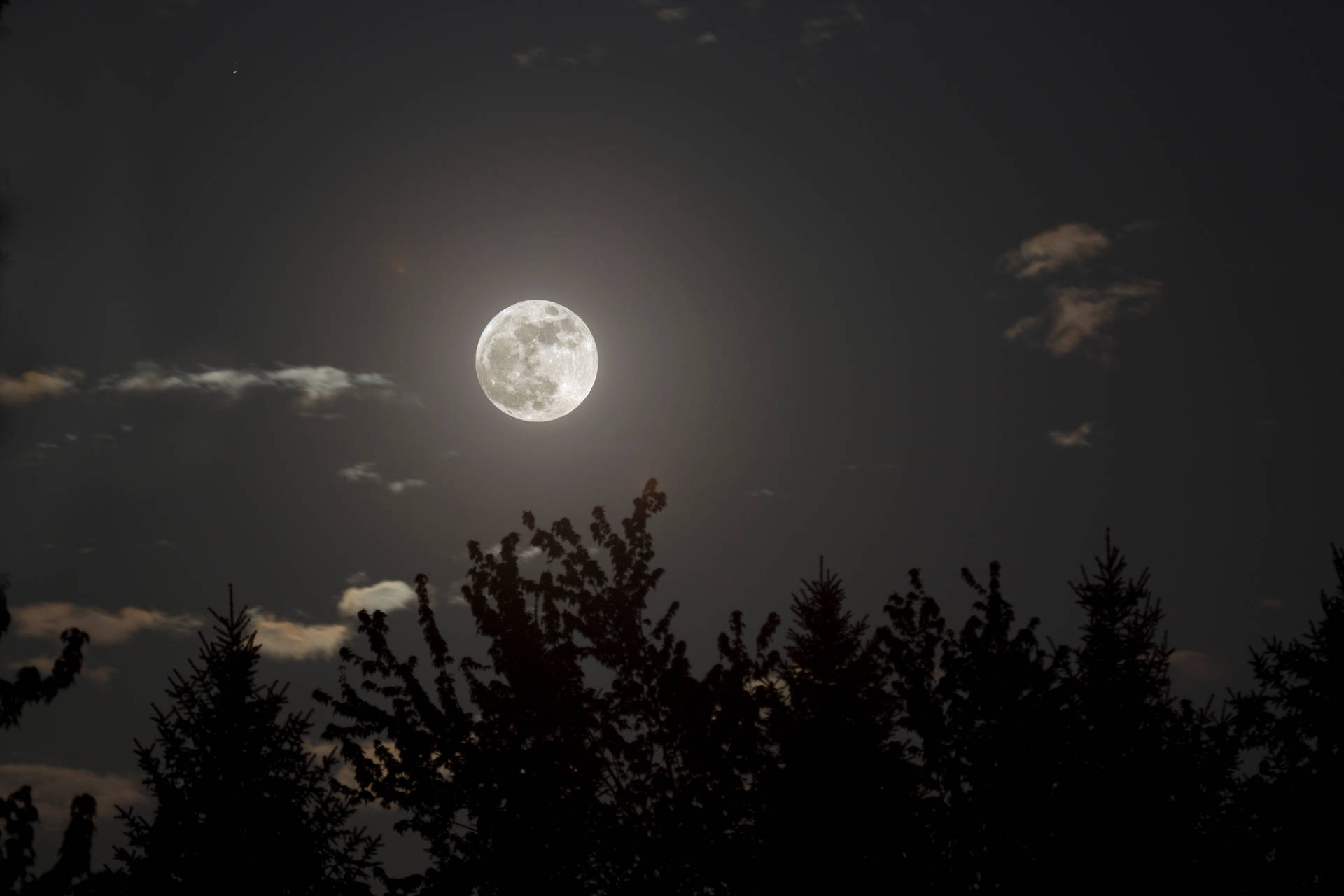 Aesthetic Moon In Silent Night Wallpaper